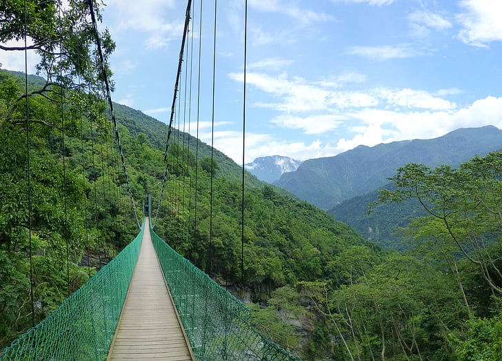 suspension bridge, taiwan, jungle, mountains