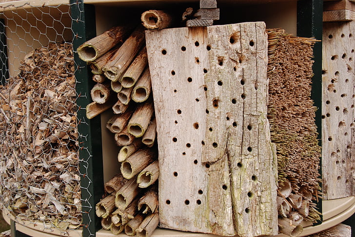bug, insects hotel, hotel, nature, garden