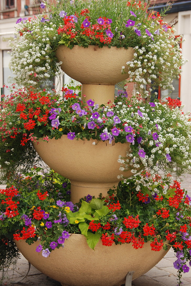 planter, flower pot, flower, pot, decoration