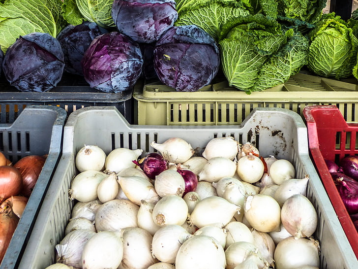 market, onion, cabbage, vegetables, plant, food, autumn