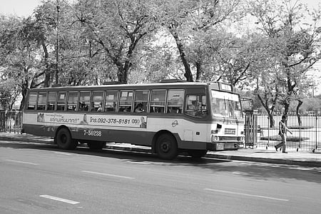 bus, black, white, transport, transportation, road, drive