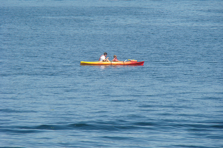 kayak, water, fun, boat, kayaking, sport, activity