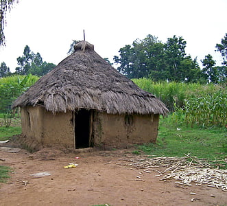 Cabaña, Kenia, África, arcilla, primitivo, arquitectura, tribu