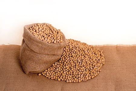 soybeans, plants, seeds, bag, burlap, grain, oil