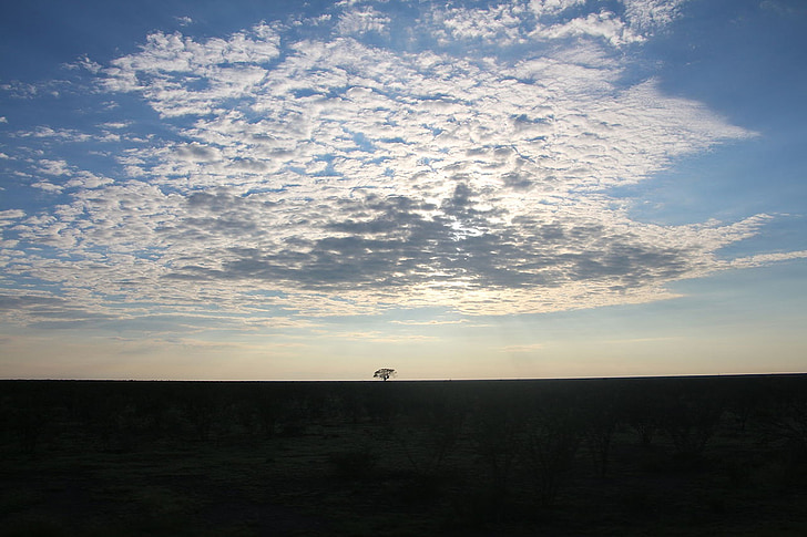 tree, flat, namibia, nature, sky, clouds, landscape