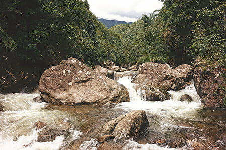 selvaggio, fiume, acqua, natura, diretta streaming, cascata, Rapids