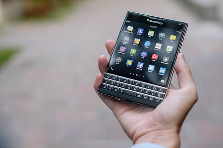 blackberries, passport, mobile, smart phone, technology, equipment, hand