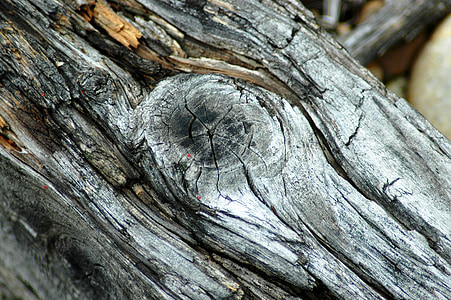 wood, old, dry, knot, cracks