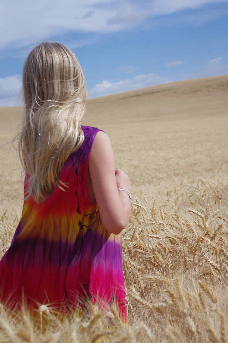 pšenica, pole, modrá, zlatý, dievča, blondína, plodín