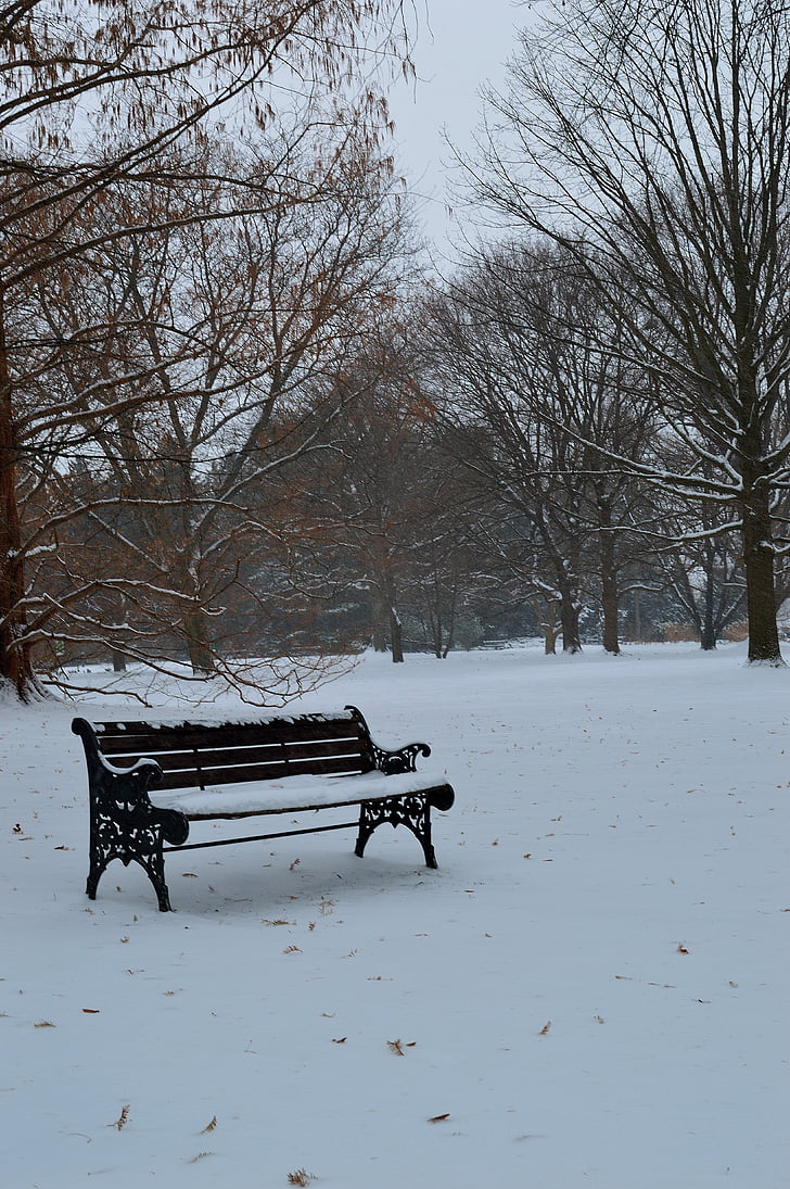 bench, winter, season, seat, cold, snow, outdoor