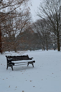 banco, Inverno, temporada, assento, frio, neve, ao ar livre