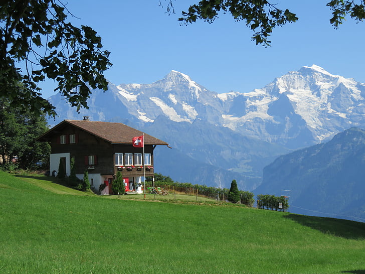 Alpine, bjerge, Panorama, Schweiz, blå, sommer, bjerglandskab