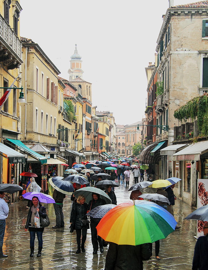 venice, umbrellas, it rains, people, via, walk, city
