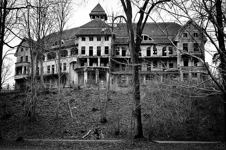 hrad, staré, ponurej, čierna a biela, Architektúra, dom, opustené