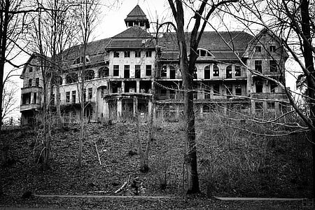 Castelo, velho, sombrio, preto e branco, arquitetura, casa, abandonado