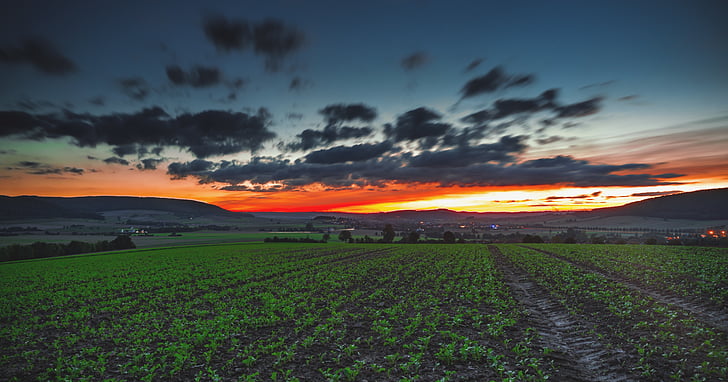 field, countryside, sunset, sky, orange, glow, evening