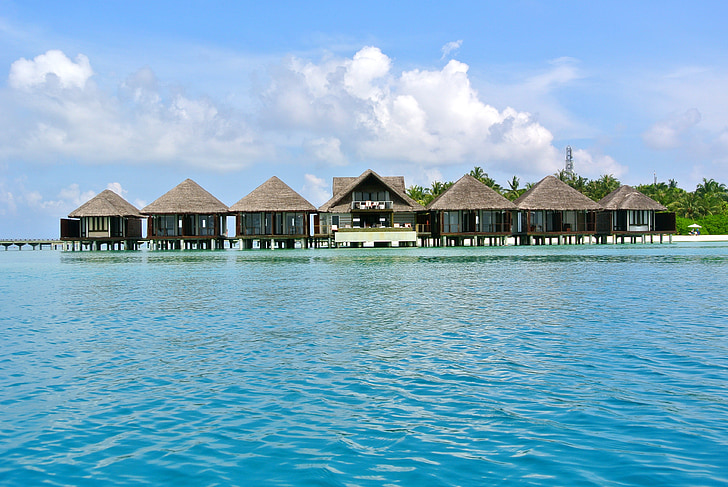 Maldivas, árbol de coco, mar, complejo, verano, vacaciones, cielo