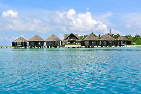 maldives, coconut tree, sea, resort, summer, holiday, sky