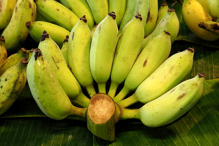 банани, плодове, култивирани банан, тропически, здраве, храна, мощност