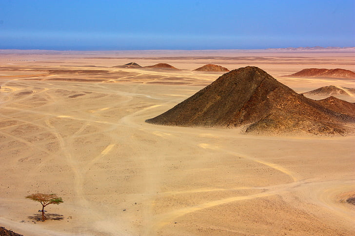 woestijn, zand, boom, berg, heuvel, Afrika, Egypte