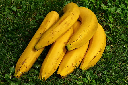 bananer, frukt, frukt, sunn, gul, banan skallet, moden