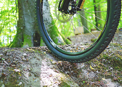 Mountain-bike, Fahrrad, Radfahren, Rad, Aktivität, Sport, Natur