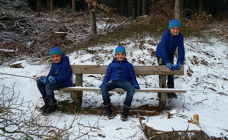 montáž, zimné, Forest, chlapec, neskutočný, sneh, drevo