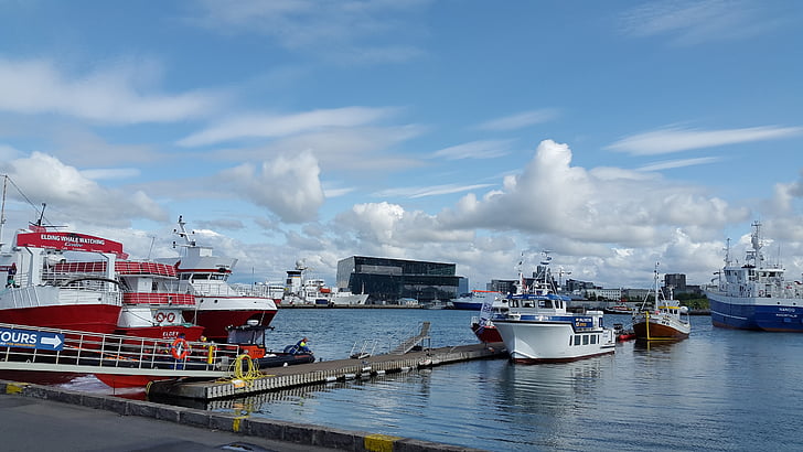 Island, rejkavyk, port, skip, sjøen