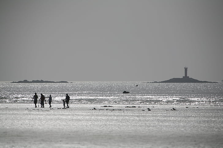 pludmale, laimīgs, chunjangdae, cilvēki, staigāt, siluets, jūra