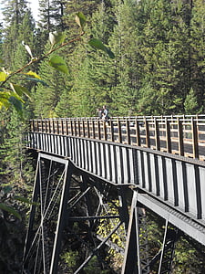 Brücke, Kanada, Britisch-Kolumbien, Princeton, Wald, Landschaft, natürliche