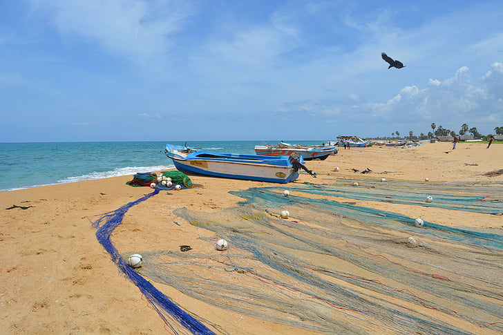 pludmale, zvejas tīkls, skaidrs, ka debesis, zvejas ainu, Šrilanka, Mullaitivu