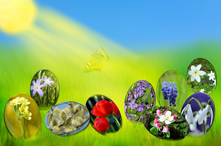 Velikonočni, jajca, pomlad, sonce, trava, zelena, nebo