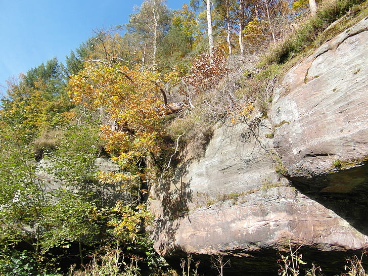 peščenjak skale, pesek kamen, gozd, jeseni, pojavljajo, pogled, Pfalška