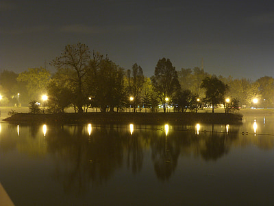 island, trees, reflection, evening, foggy, fog, lake