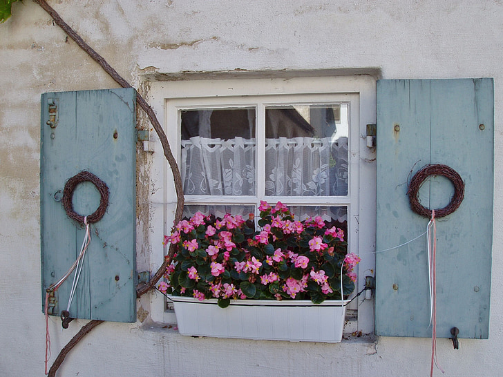 okno, staré, kvety, kvet, prechodné, dekor kvety, letné