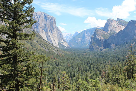 Yosemite park, Yosemite, Yosemite rahvuspark, meile, San francisco, metsa, mägi