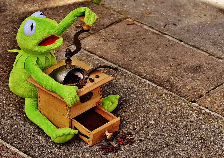 Kermit, varlė, malūnėlis, kavos pupelės, šlifuoti, juokingas, mielas