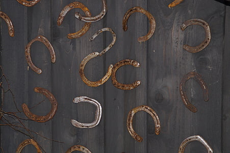 horseshoe, luck, lucky charm, horse, horses, suspended, on the wall