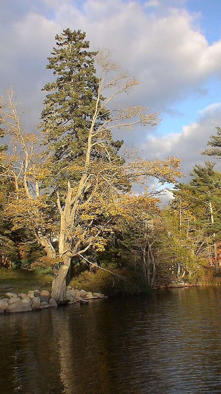 sjön, Maine, bar ö, reflektioner, landskap, natursköna, hösten