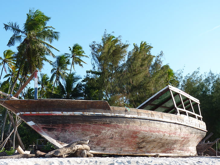Zanzibar, Boot, Plaża, palmy