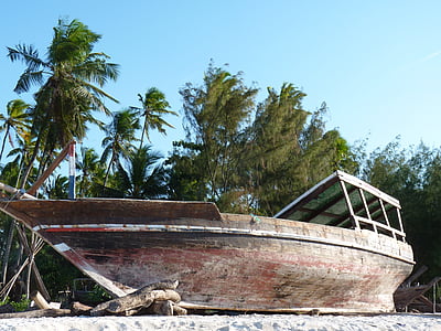 Zanzibar, önyükleme, plaj, palmiye ağaçları