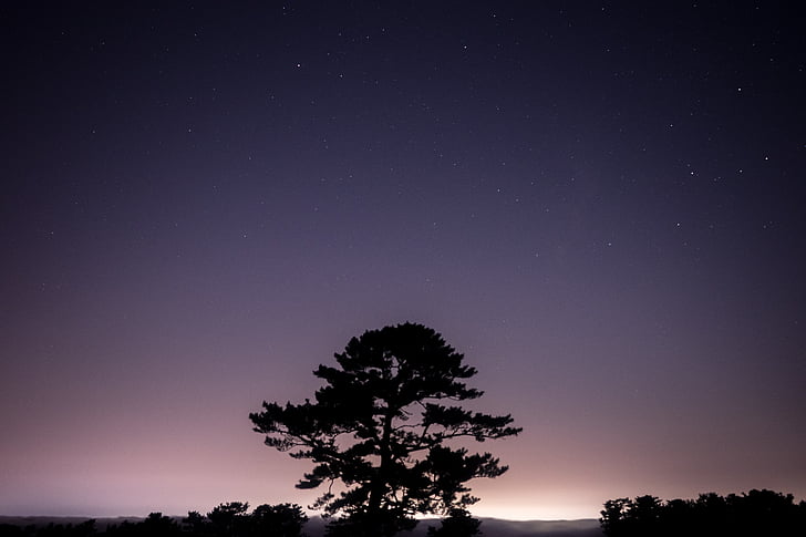 silhouette, photo, trees, landscape, nature, sky, star