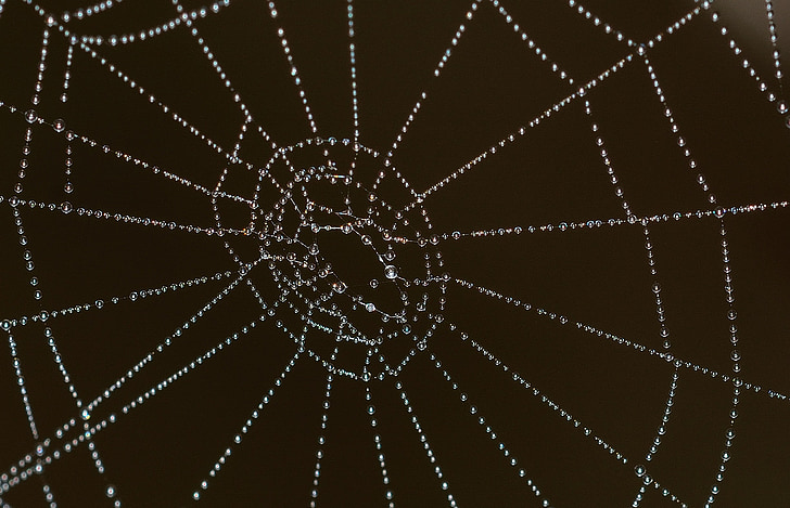 sieci Web, Natura, wody, krople