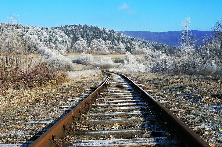 tracks, winter, frost, nature, snow, white, tops