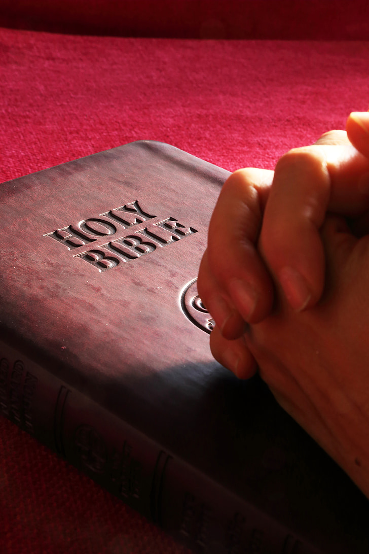 bible, holy, hands, pray, prayer, religion, book