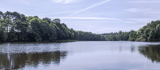 Lake, bos, reflectie, landschap, natuur