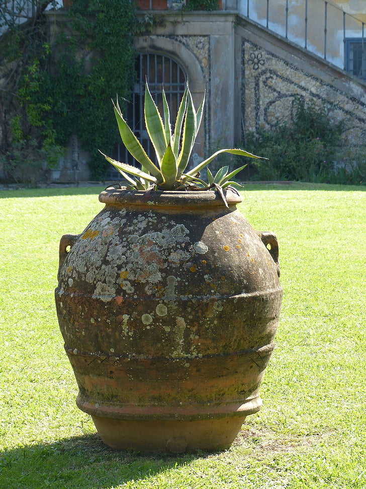 Amfora, Itálie, váza, Toskánsko, zahrada, starožitnost