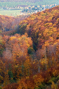 Hongrie, monts Mátra, paysage, feux de l’automne, forêt d’automne, montagnes, beauté