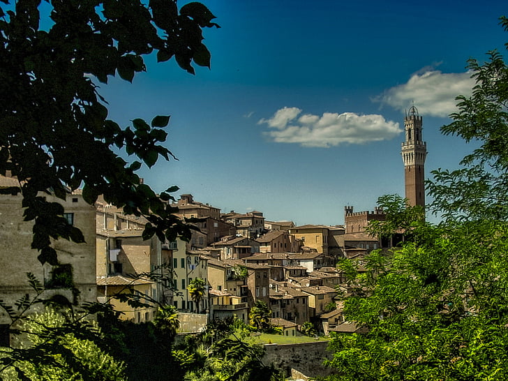 Foto, hnědá, malované, budovy, Siena, Toskánsko, Itálie