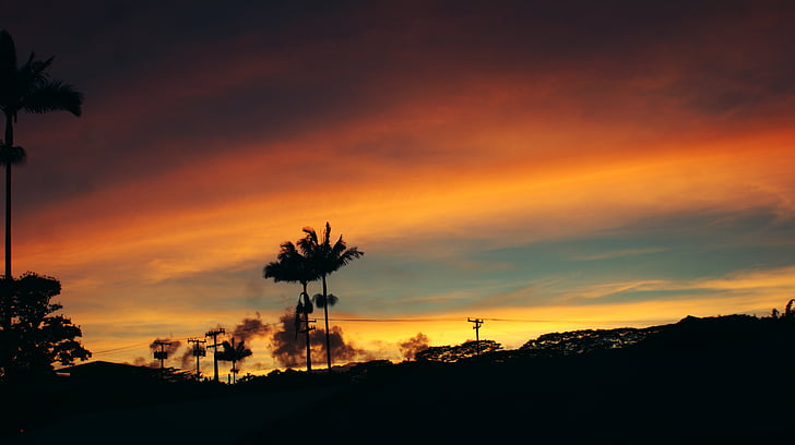 solnedgång, träd, moln, röd, kokospalmer, Hawaii, Palm